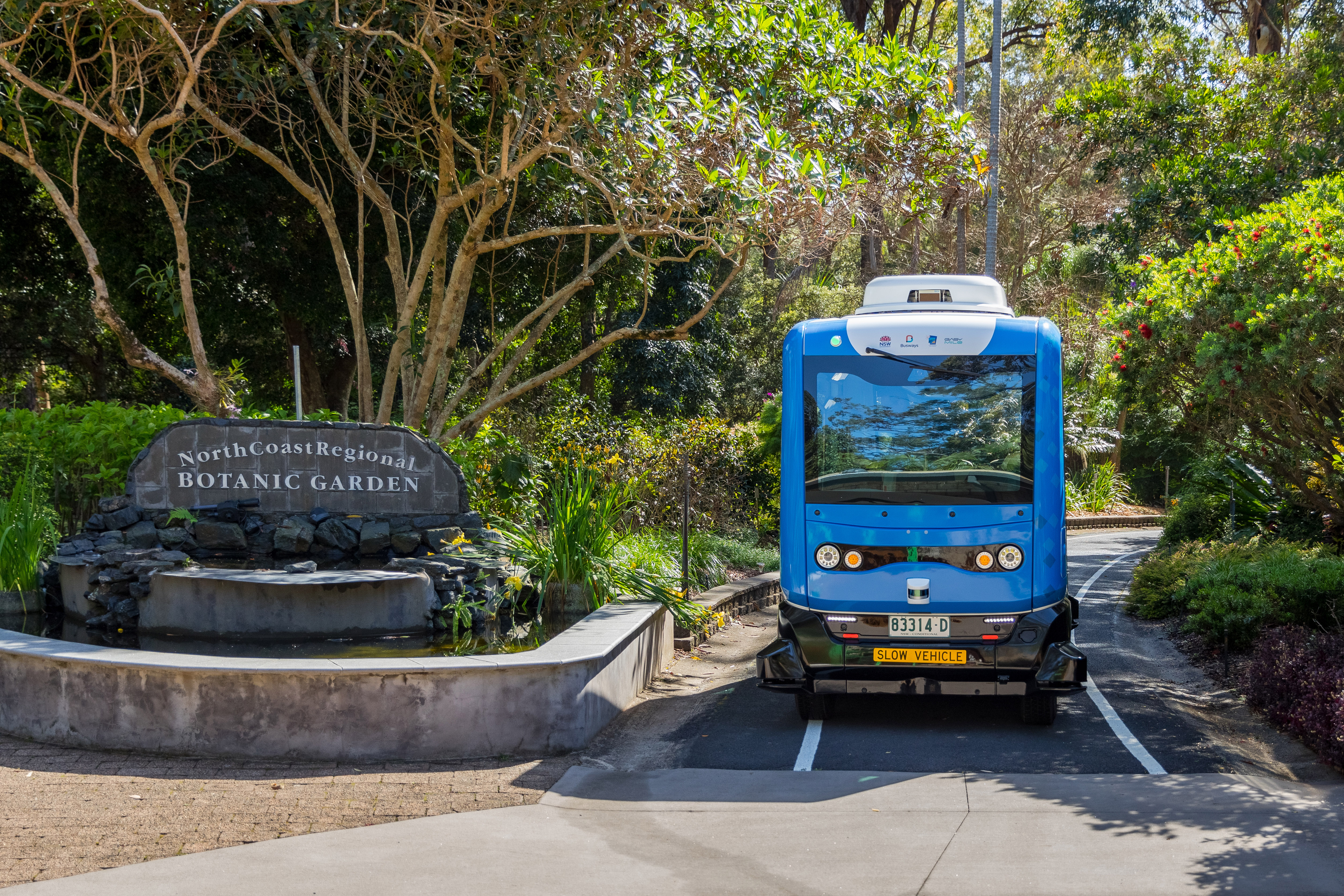BusBot Coffs Harbour