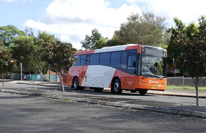 Orange bus on street