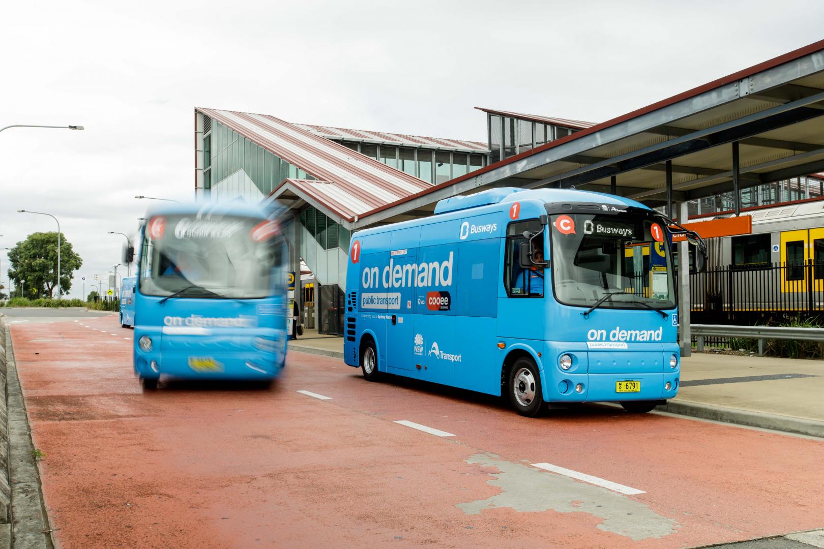 This is a photo of Cooee buses at Schofields Station.