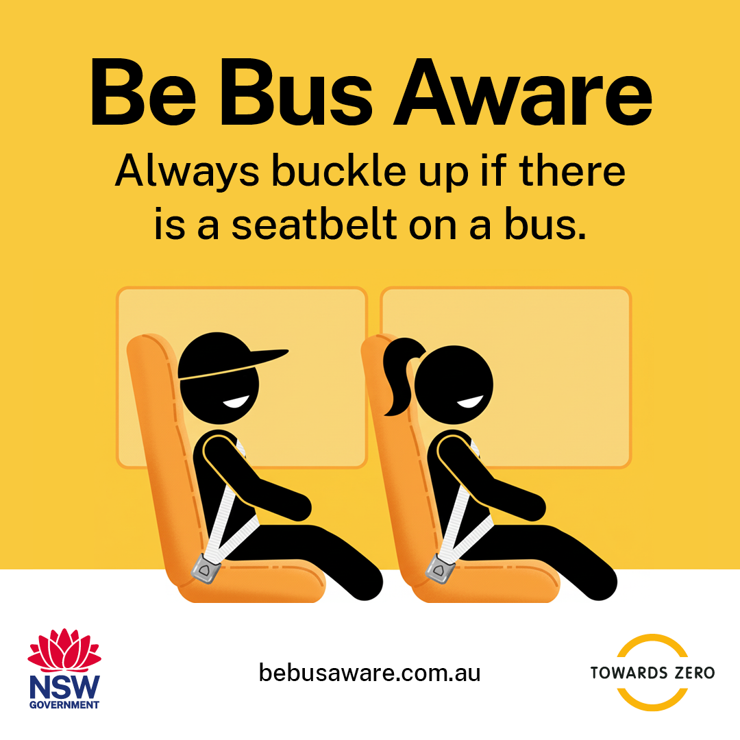 BSW SM tile seatbelts