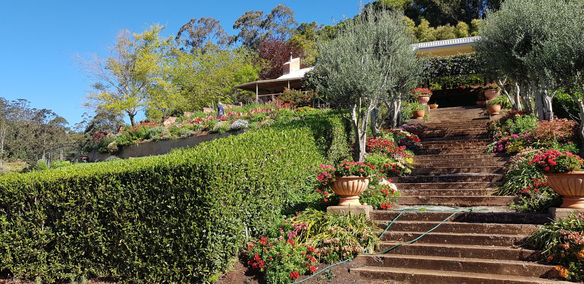 staircase with flowers